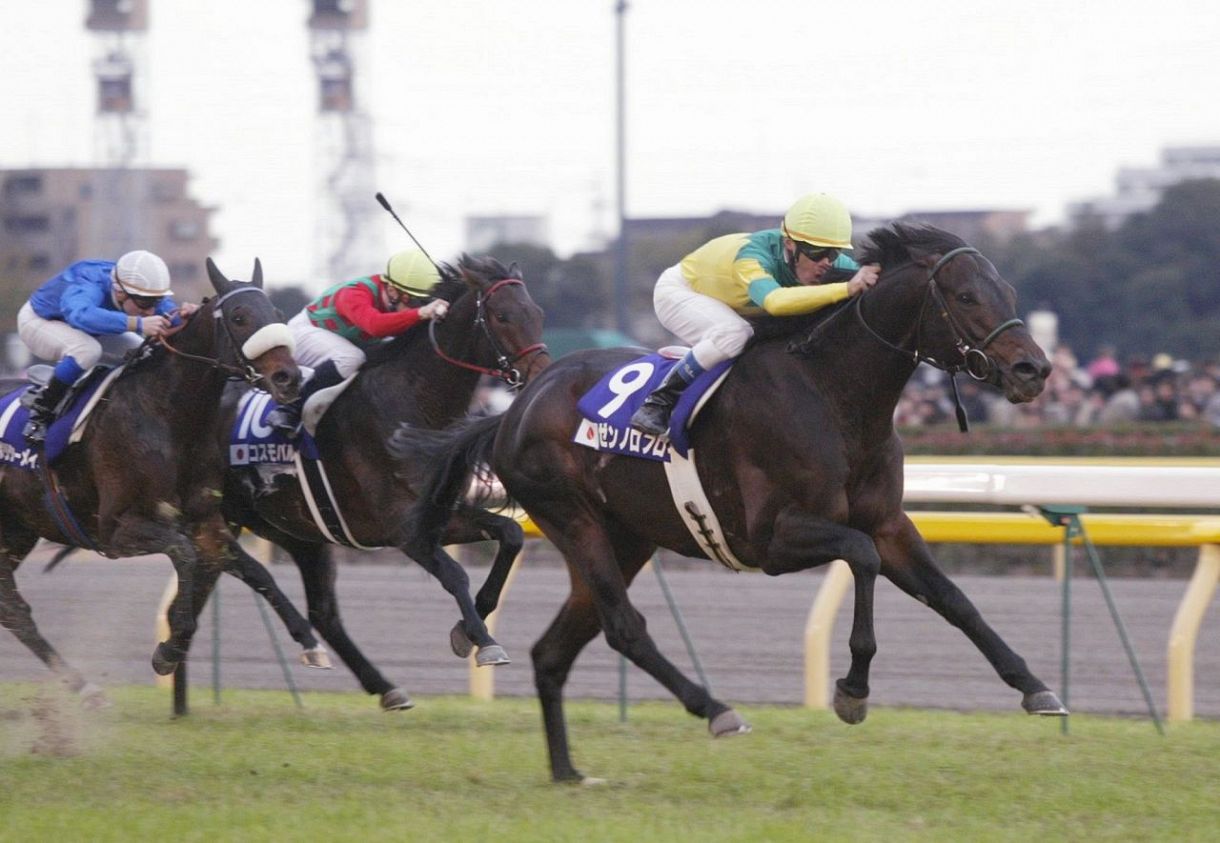 写真】ゴール前、コスモバルクを突き放すゼンノロブロイ：中日スポーツ