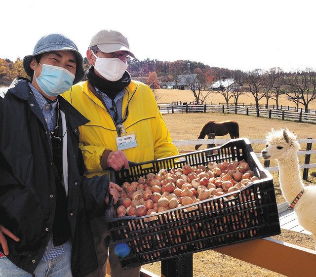 １４日からチューリップ球根を無料配布 ひるがの高原牧歌の里 中日新聞web