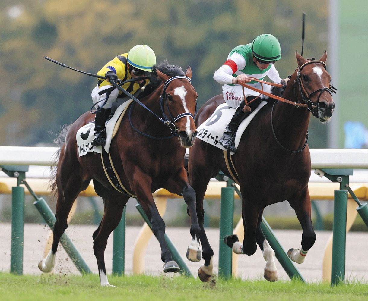 競馬ステッカー ソールオリエンス その他 最大割引 - 通販