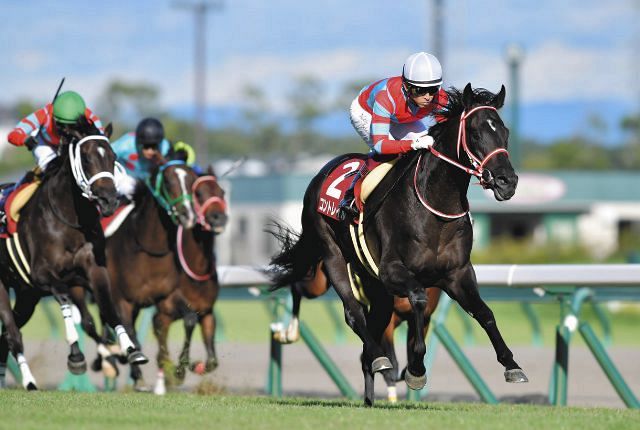 コントレイル 三冠馬記念 スタジャン-