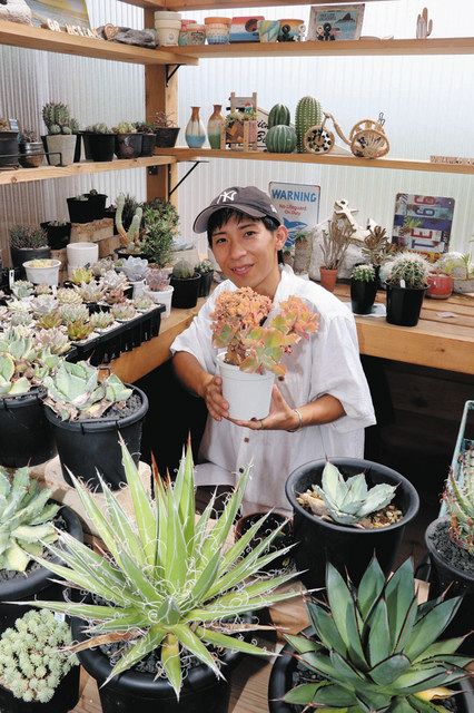 多肉植物にハマり、仕事辞めてユーチューバーに 「多肉らいふの