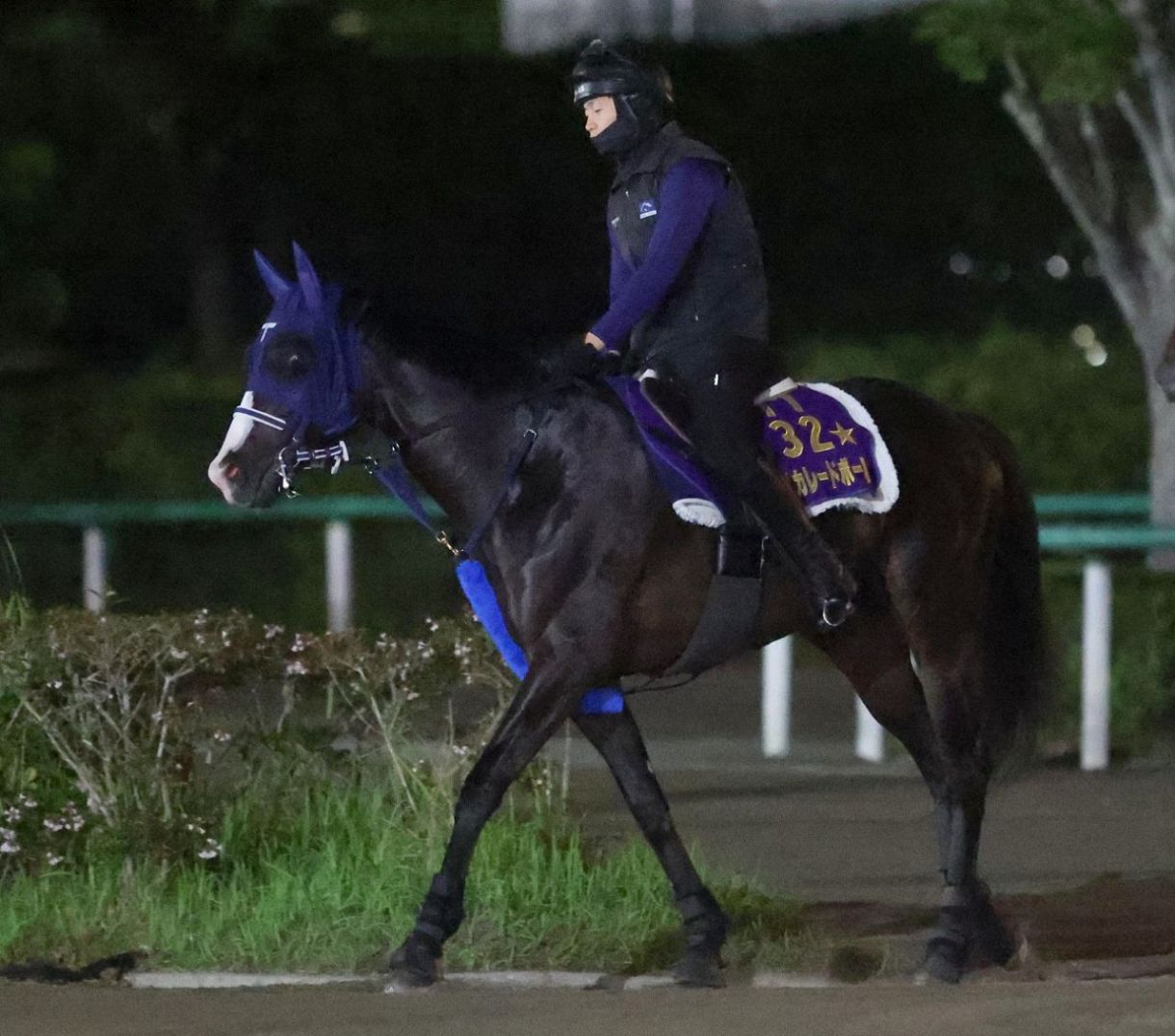 ハーツクライ　キングジョージ６世＆クイーンエリザベス　名前入り単勝馬券　的中馬券 JRA】キングジョージⅥ世＆クイーンエリザベスSの馬券発売が決定