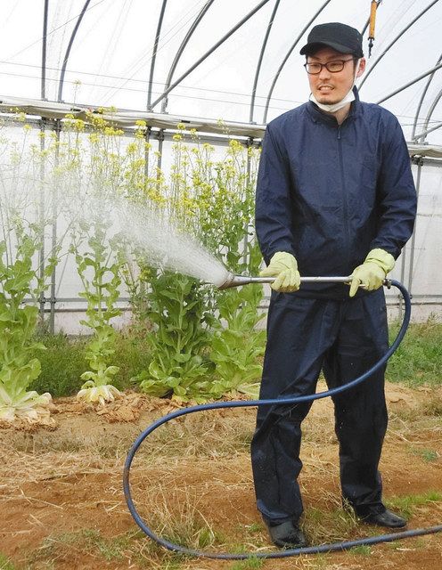 農業塾の農場でハウス内の水やりをする竹本真司さん＝羽咋市中川町で 