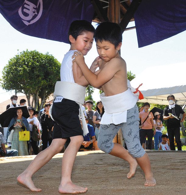 まわしを締め土俵でぶつかり合い 一宮で小学生わんぱく相撲大会：中日新聞Web