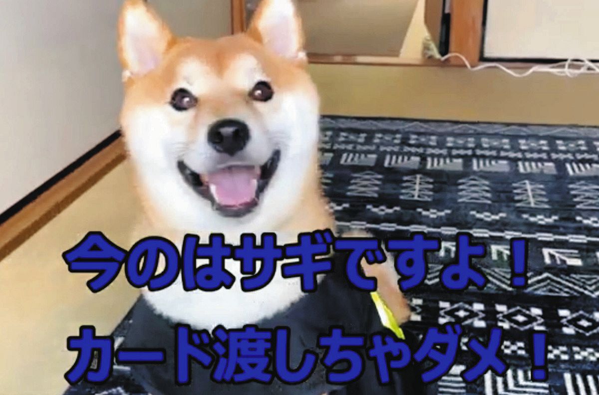 四日市南署・広報犬「豆助」、ユーチューブで熱演 「詐欺電話にでん