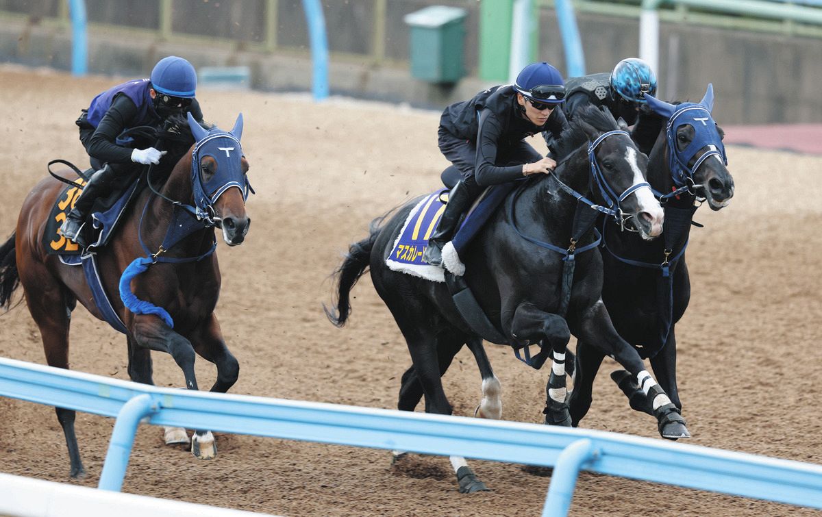 再値下げしました。馬場重臣作南円堂の月 ダービー1週前追い切り】皐月賞3着のマスカレードボール、再タッグを