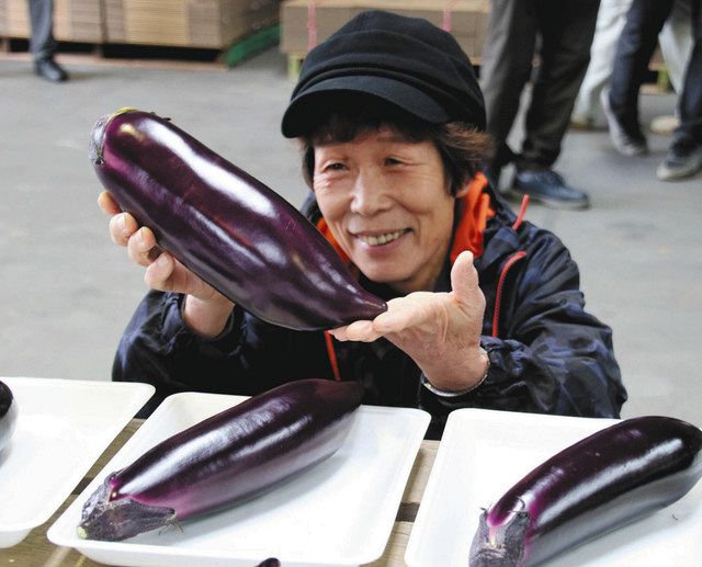 地元産「ジャンボ茄子」の出来栄え競う 豊橋でコンテスト：中日新聞Web