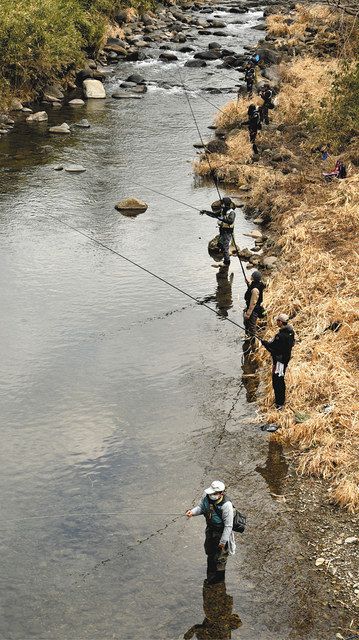 郡上漁協管内 長良川と支流で渓流釣り解禁 密避けアマゴ追う 中日新聞web