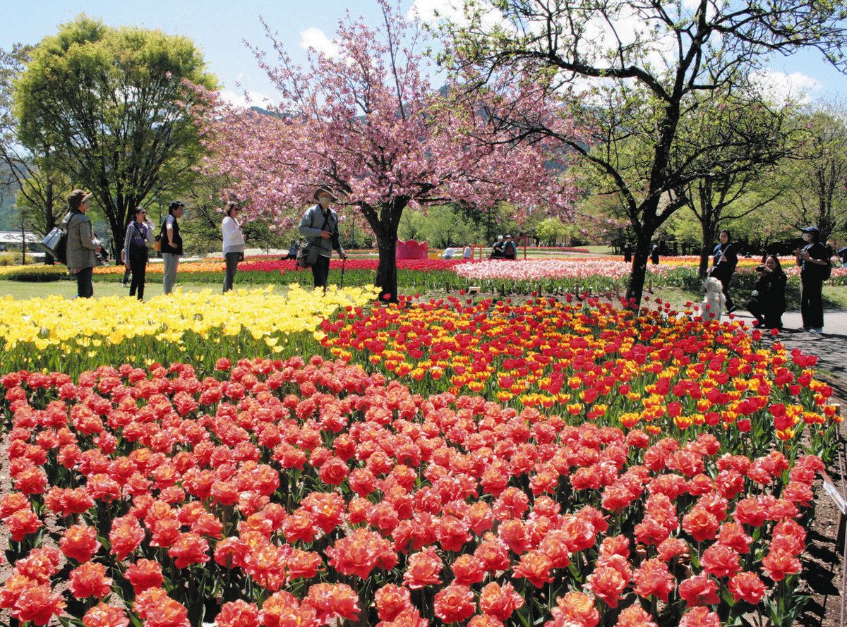 あ づみの 公園