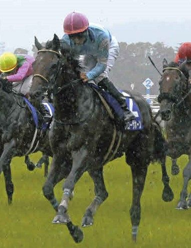 24年宝塚記念覇者ブローザホーンが登録抹消、馬事公苑で乗馬に ：中日