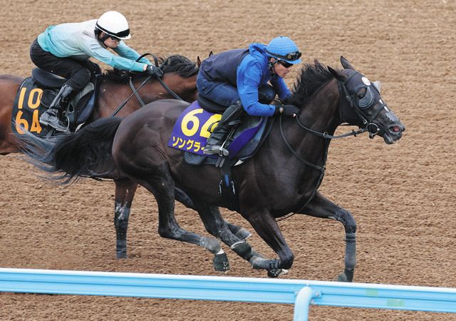 安田記念】ソングラインV2へ戸崎圭太「おのずと結果はついてくる