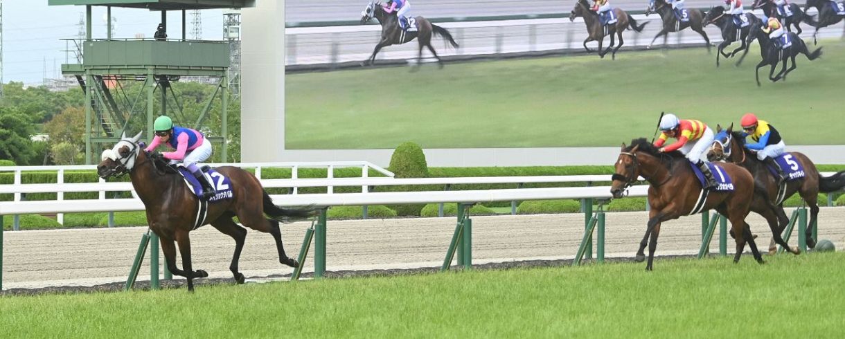 宝塚記念】メイショウタバルが逃げ切ってG1初勝利、武豊「父の日