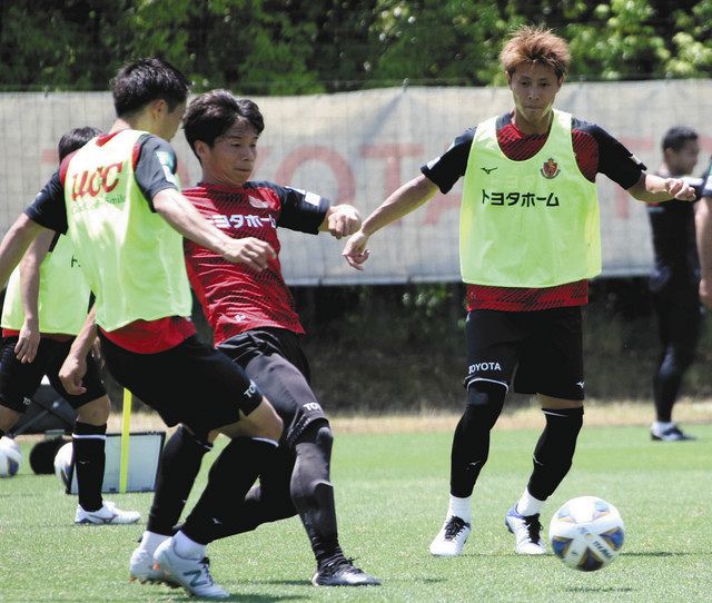アジア頂点へ 名古屋など参戦 ａｃｌ東地区 ２２日開幕 中日新聞web