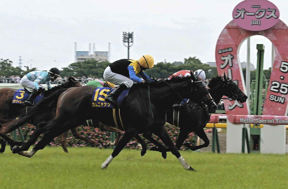 最終値下げ】JRA 競馬優勝レイオメガヴェンデッタ
