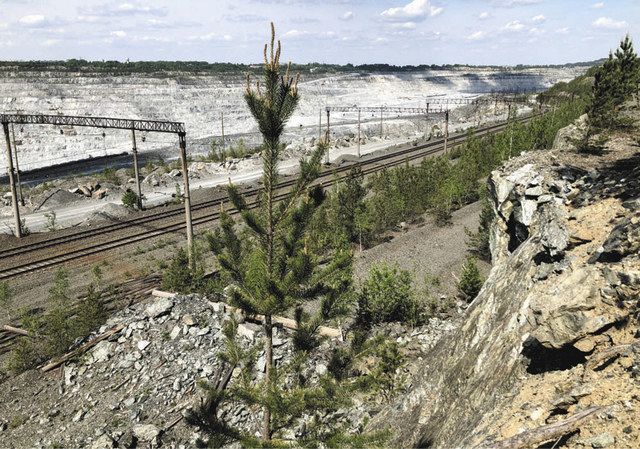 現地発ワールド経済 ロシア 被害はデマ アスベスト採掘今も 中日新聞web