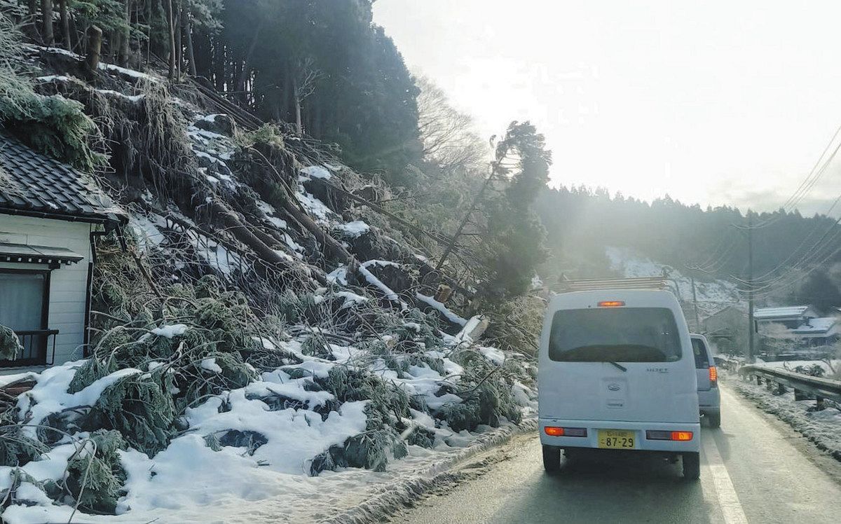 能登半島地震で山が崩れ道幅が狭まった道路＝2024年1月、石川県の能登地方で