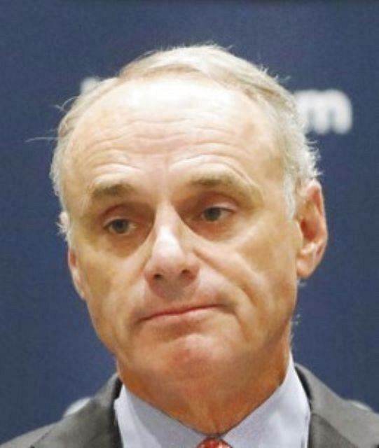 ナ リーグdh制導入は22年以降に恒久化が濃厚 中日スポーツ 東京中日スポーツ