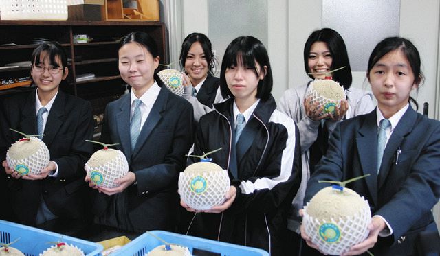 メロンに創立記念「祝120年」文字 岐阜農林高生が生産販売：中日新聞Web
