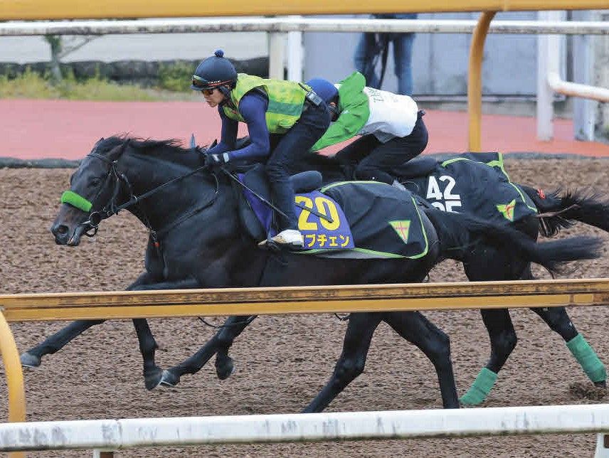 皐月賞・吉田稔さん予想】力関係は難解も底力再評価してロブチェン
