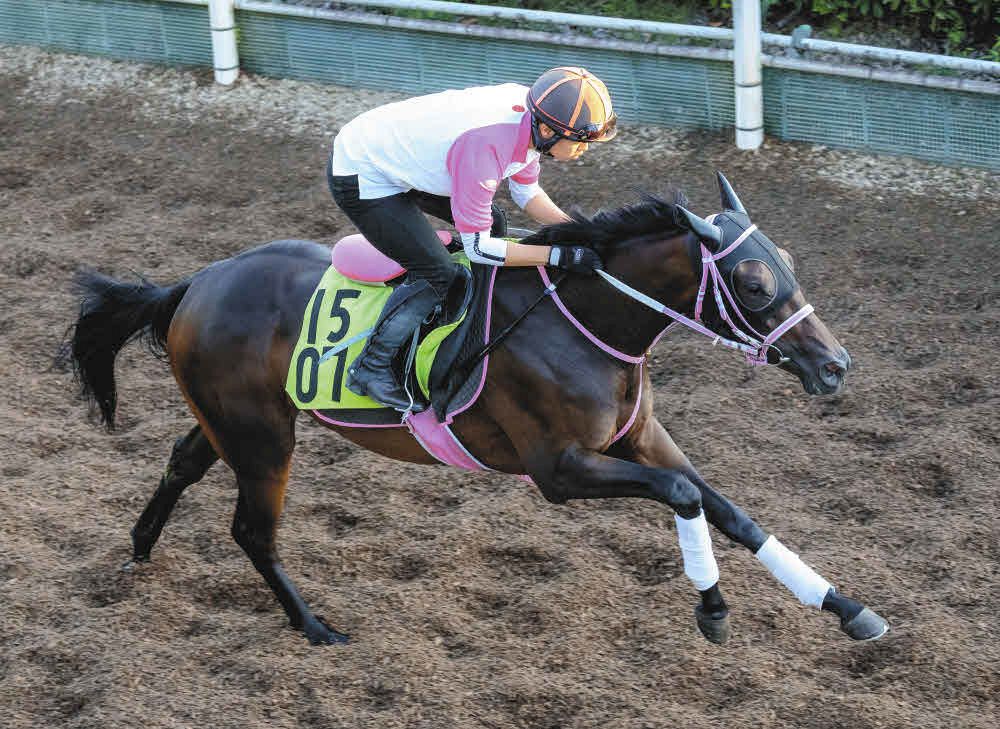 新潟2歳S】2着競りを制し賞金加算のタイセイボーグ 松下師「ひと息入れ