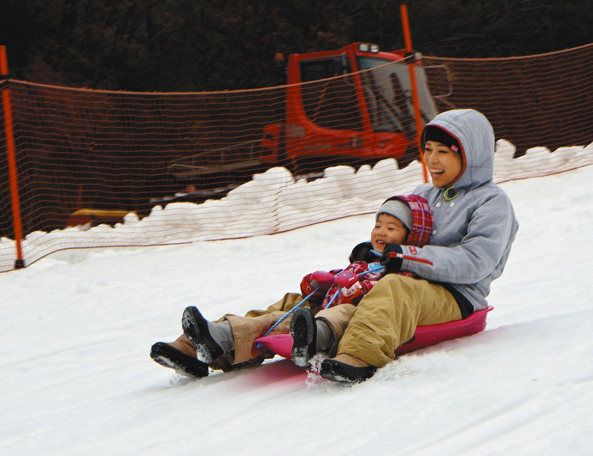 雪そり疾走、大人も子どもも夢中に 豊田・旭高原元気村にゲレンデ 