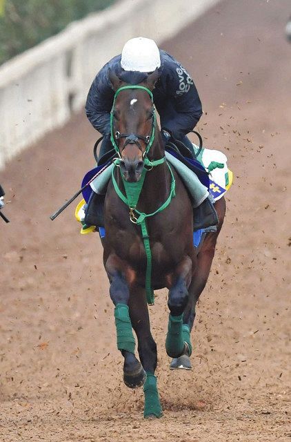 有馬記念】馬具着用のキセキ「いい感じに収まりついていた」 浜中が効果実感：中日スポーツ・東京中日スポーツ