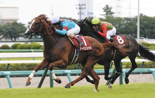 アンカツさん「菊花賞で再戦ならアーバンシックが優勢やろけど…」セントライト記念の勝ち馬評価も上位2頭は「互角やね」：中日スポーツ・東京中日スポーツ