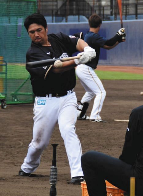打撃練習を行う日本ハムの横尾俊建内野手（球団提供）