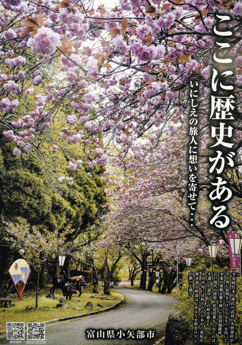 八重桜や方言で発信 小矢部市 観光ポスター2種作製：北陸中日新聞Web