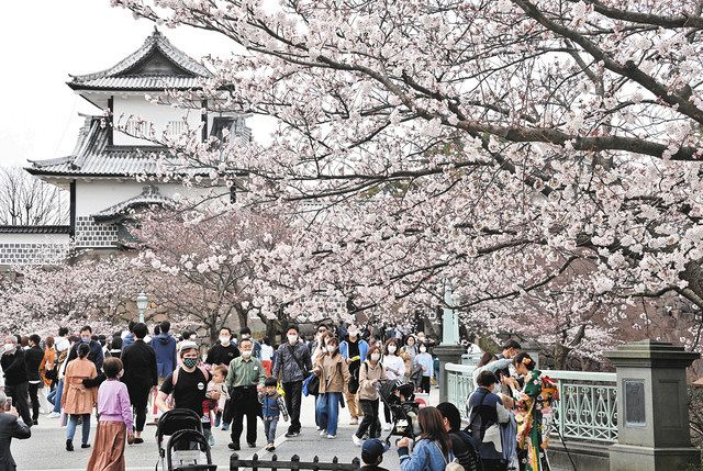 石川 県内観光地 華やぎ戻る 緊急事態解除後 初の週末 北陸中日新聞web