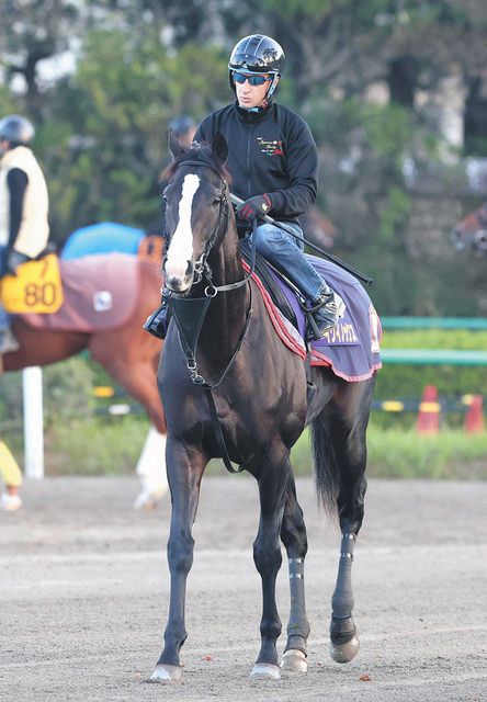 2023年春夏再販！ 競馬カード イクノイックス その他 キャラクターグッズ