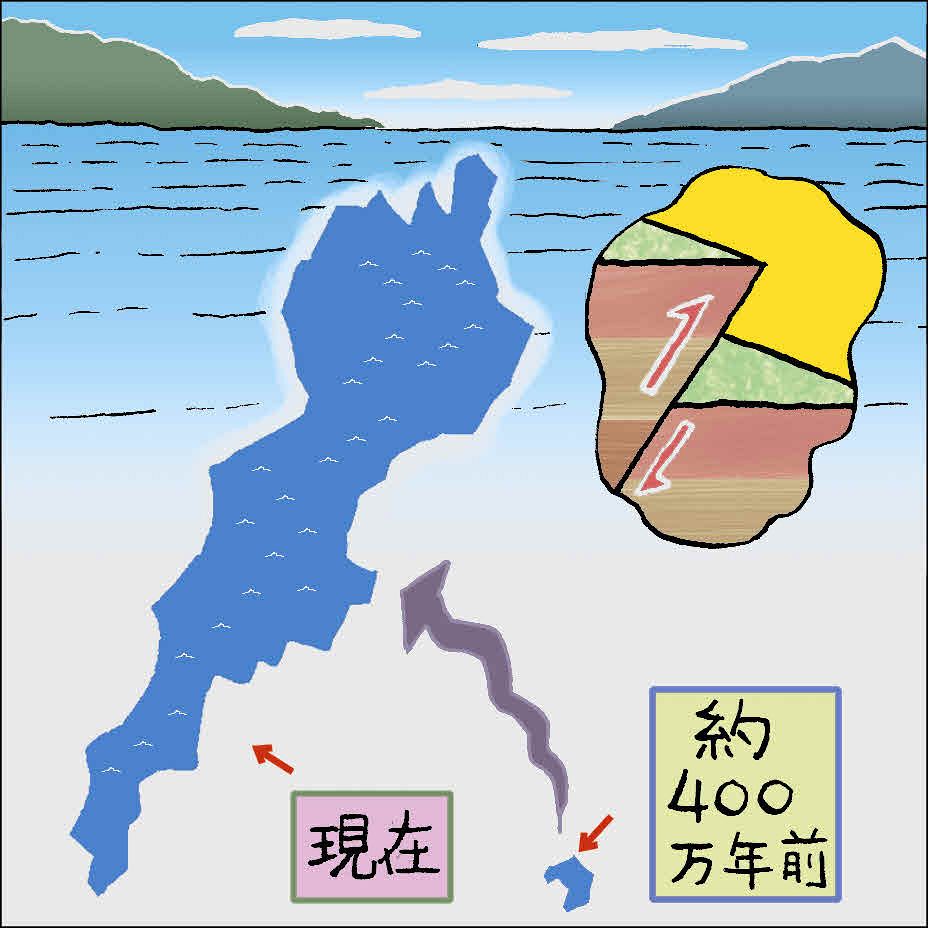 ３６４）移り変わる大地 （琵琶湖博物館 里口保文）：中日新聞Web