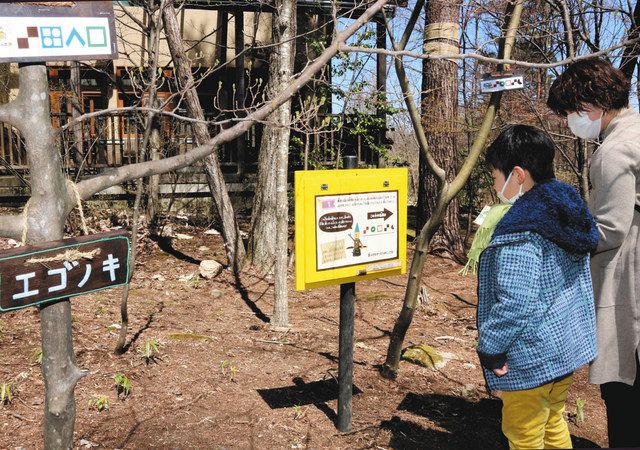 森を巡り 謎解き宝探し ゲーム 大町 あづみの公園で開催中 中日新聞web