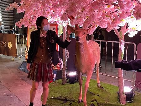 中国で流行する日本の女子高校生ファッション 中日新聞web