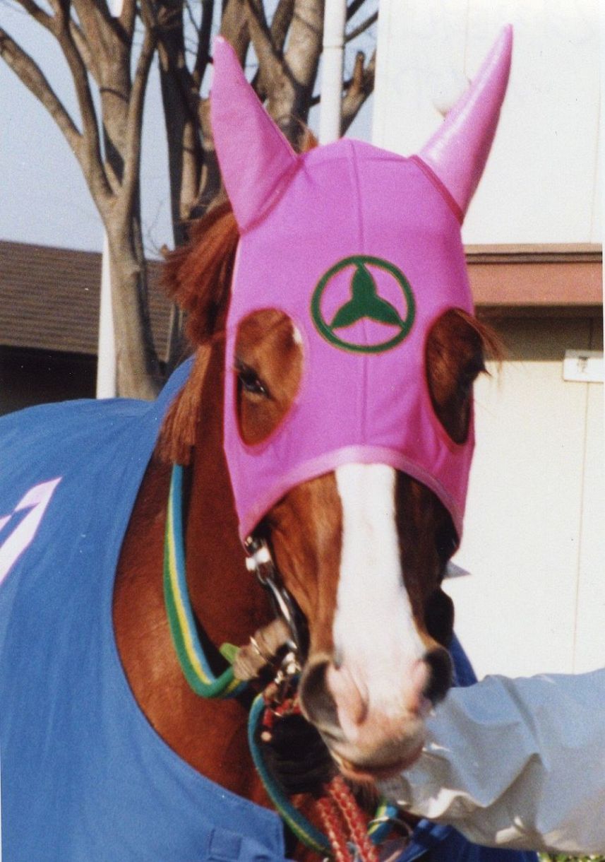 1996年皐月賞馬、イシノサンデー死す 31歳、通算22戦6勝 父は