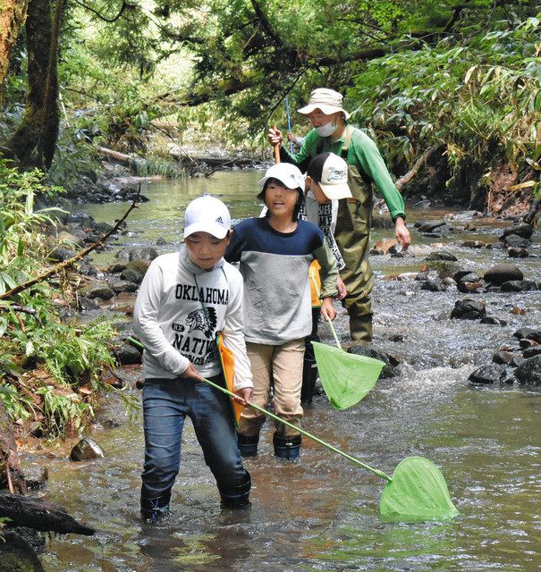 宮川の上流で水中の生き物を探す参加者ら＝穴水町比良で 