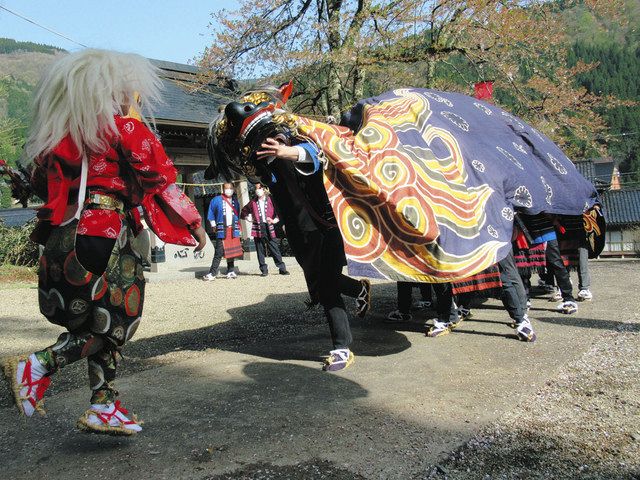 獅子舞 春ことほぐ 五箇山・皆葎で祭り：北陸中日新聞Web