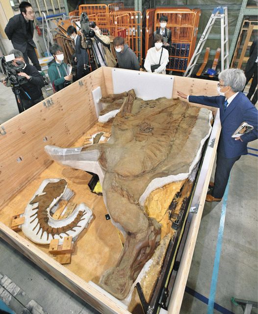 木彫　恐竜　ブラキロフォサウルス頭骨　１/10スケール ブラキオサウルス（骨格） の展示中 || Museum of Kyoryu-mokei