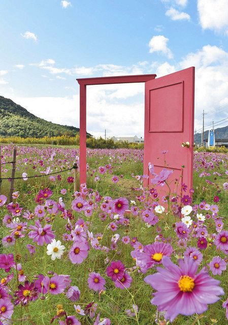 こんなドアいいな 高浜まちづくりネット設置 映えスポットカタログに 日刊県民福井web