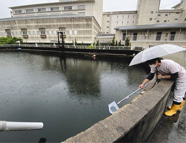 東三河 今昔写真館＞ 竹島水族館（蒲郡市）：中日新聞Web