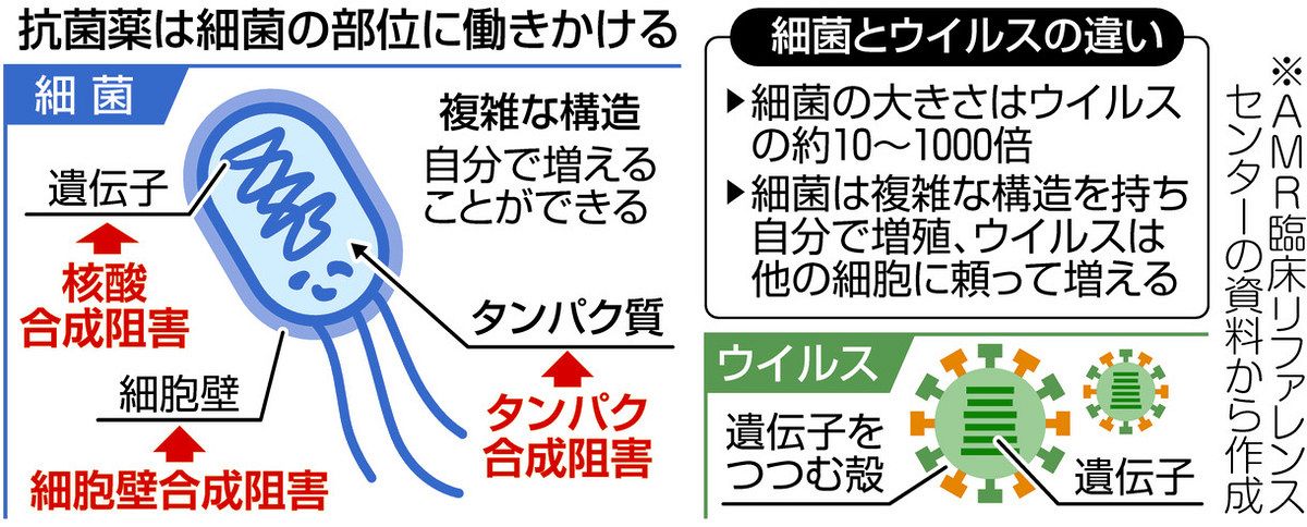 風邪に抗生物質は効かない！」 耐性菌を生まないために正しい知識を