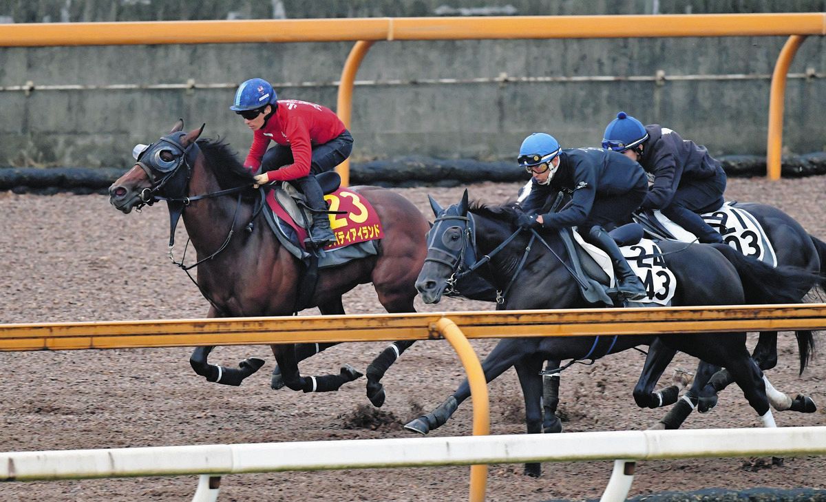 ２冠馬リバティアイランド、調教よしライバルなし…史上７頭目の牝馬三