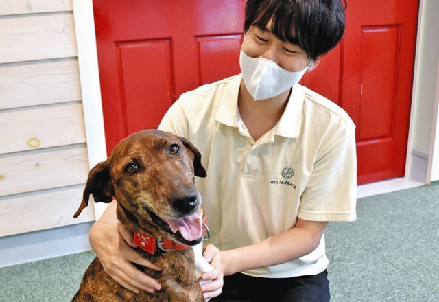 新たな飼い主来たれ 多気 ヴィソンの動物保護施設オープンから２カ月 中日新聞web