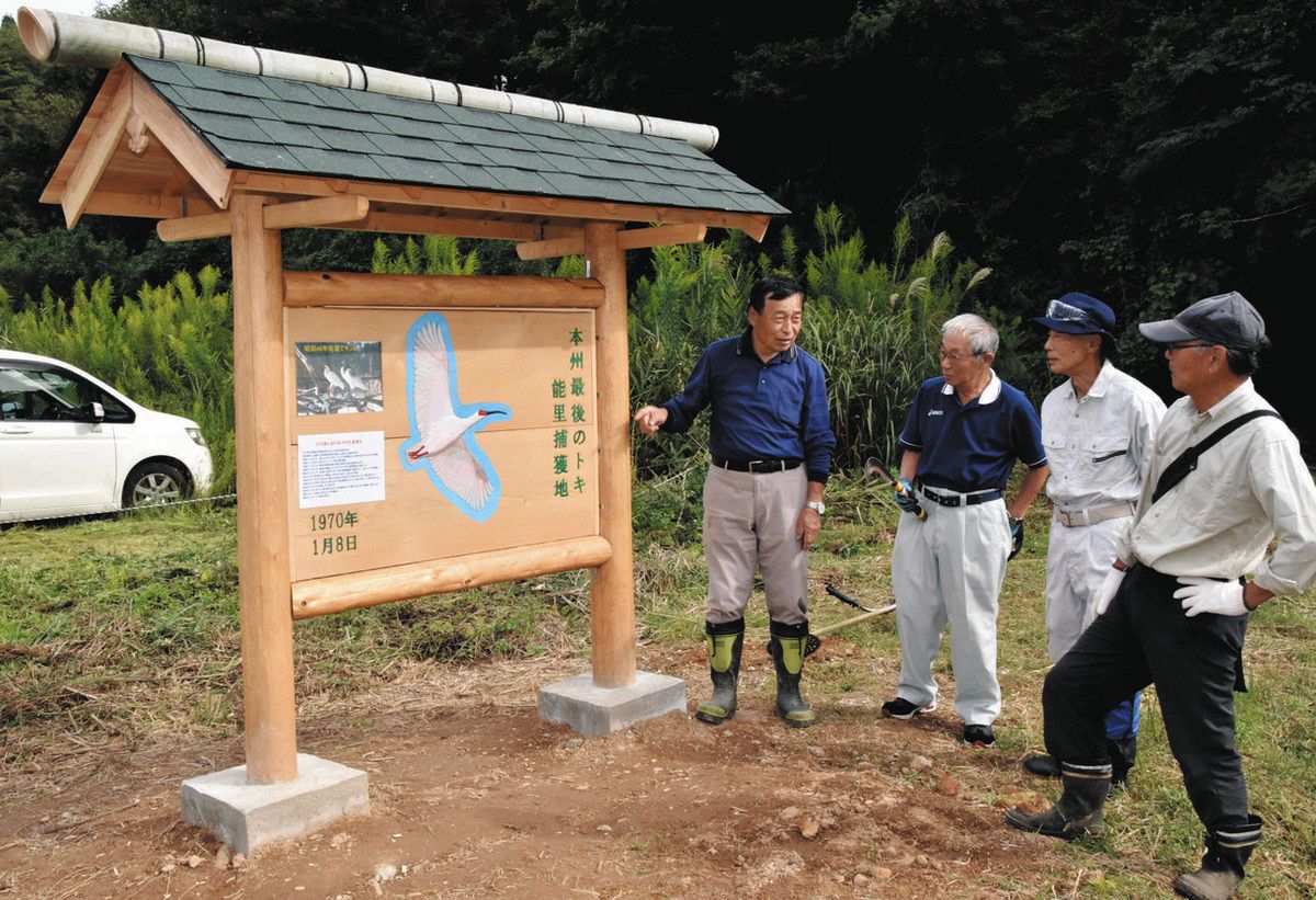 能登輪島*黒内朱 能登輪島*黒内朱 Amazon.co.jp: 大藤漆器店 輪島塗 夫婦汁椀