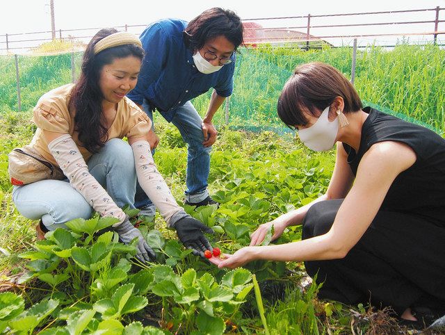 水野早乙美さん（左）から自然栽培のイチゴについて説明を受ける吉原一将社長（中）ら＝羽咋市飯山町で