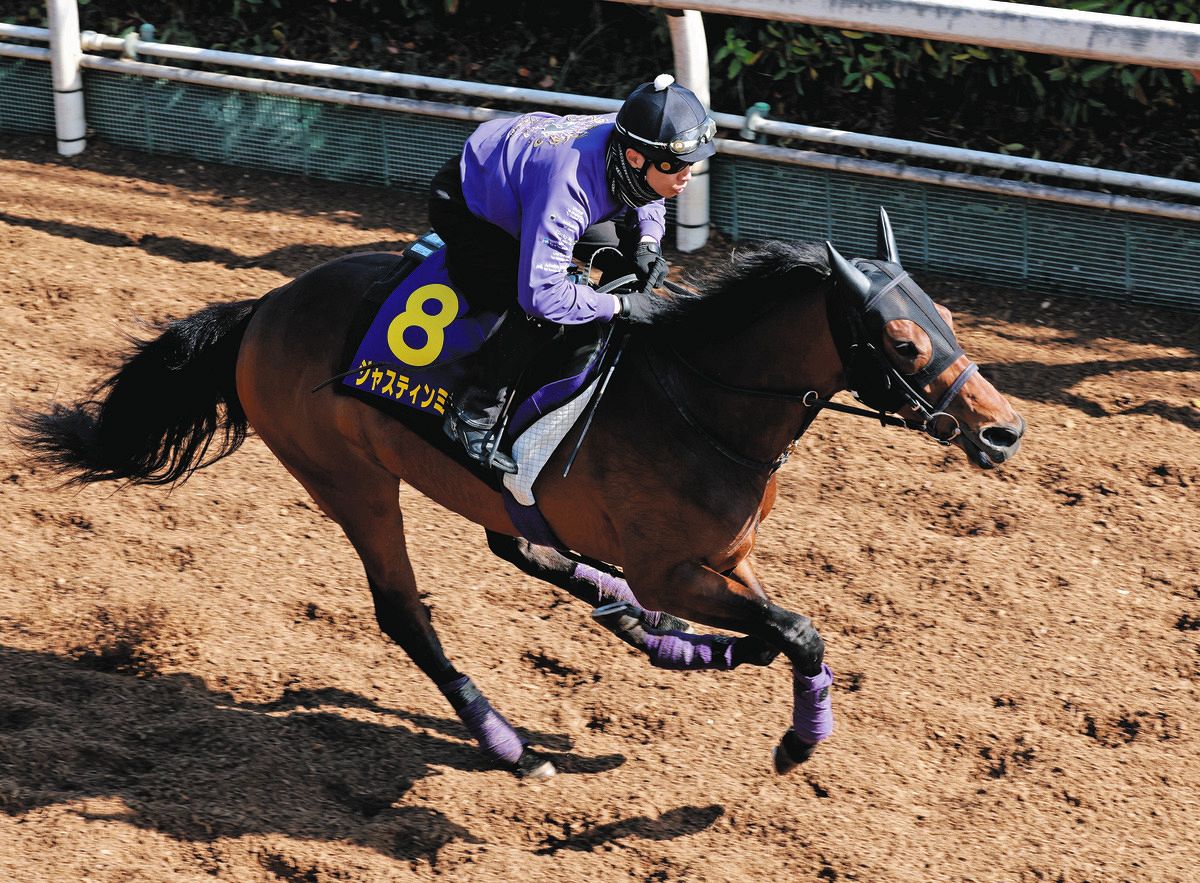 藤岡康太さん、見てる？…皐月賞勝ったよー」追い切りを担当 