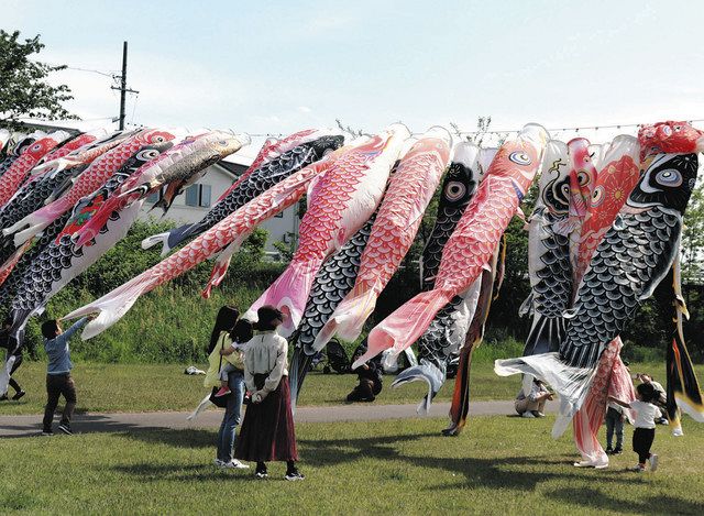 被災地忘れない」こいのぼりに誓い 尾張旭・矢田川に150匹：中日新聞Web