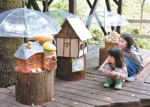 こびとの家」で遊ぼう 森のお祭り始まる：日刊県民福井Web