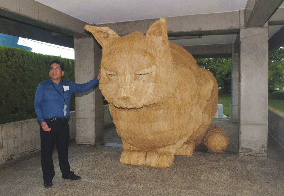 KOGEI」展 町並みに異景 東岩瀬一帯 きょう開幕：北陸中日新聞Web