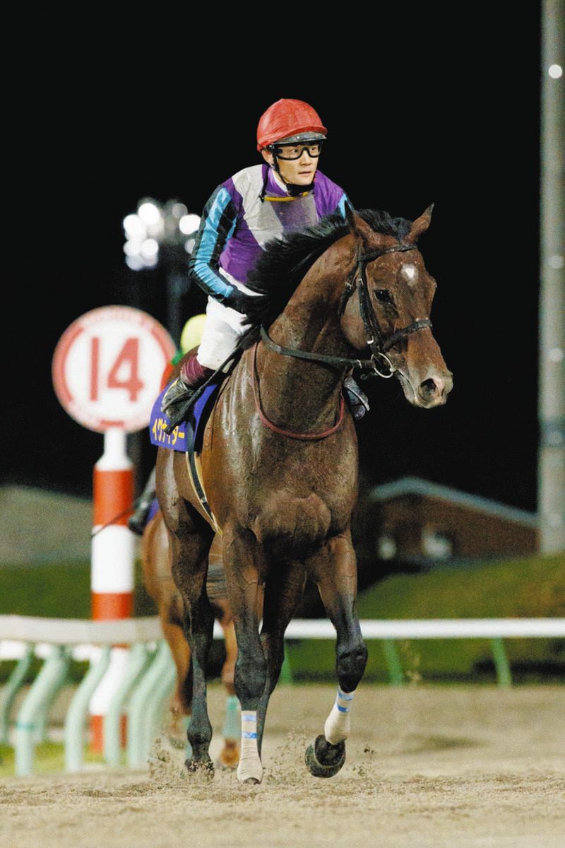 地方競馬】イグナイターが引退、種牡馬入り 野田オーナーが公式X（旧